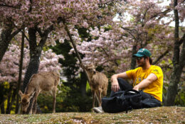 Japan Spring 2026 (17/27)